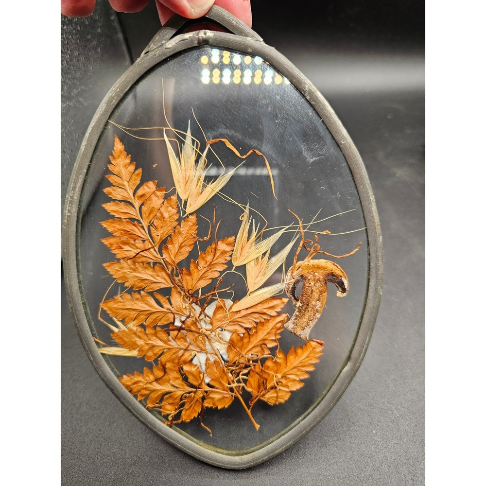 Vintage Pressed Flower Fern Mushroom Stained Glass Suncatcher Oval Frame YY